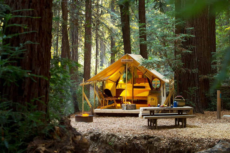 Easy Ways Of Making Your Camping Trip Luxurious