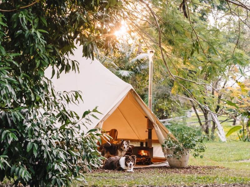 Key Safety Features to Consider in a Glamping Tent
