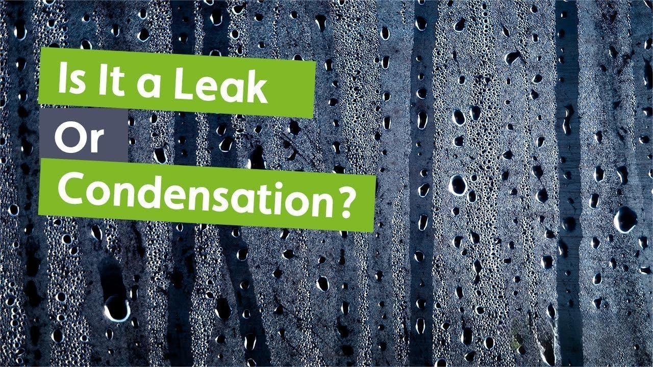 Condensation VS. Leaks: Understanding and Managing Moisture in Your Tent